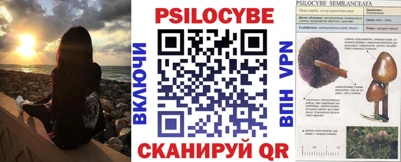 купить  сайты  Шахунья  OMG как войти  Галлюциногенные грибы Psilocybine cubensis 